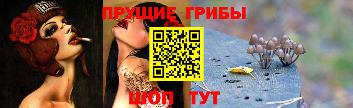 Галлюциногенные грибы мухоморы  Галлюциногенные грибы GOLDEN TEACHER  Прохладный  Вход с VPN 